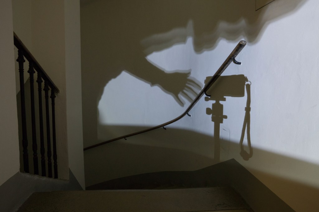 Noise comes because the camera is afraid ?!